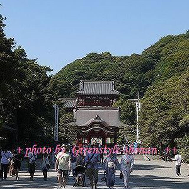 西へ東へ♪プチ写真観光　その② 鶴岡八幡宮と甘味処