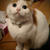 久しぶりの登場(=^^=)/