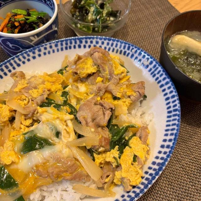 今日の晩御飯　豚肉とネギの卵とじ丼