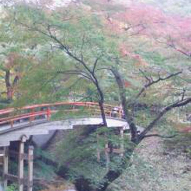 ☆伊香保温泉の紅葉☆