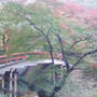 ☆伊香保温泉の紅葉☆