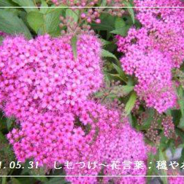 【記録】義援金の遅延。。。