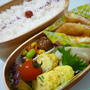 5月17日　キャベツ春巻き弁当