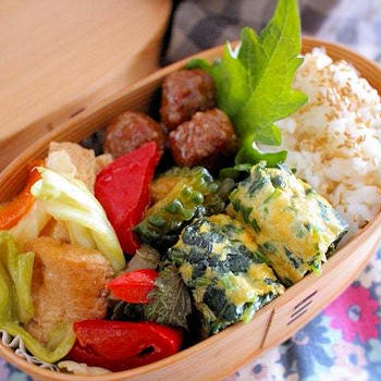 マグネシウム意識　夫のわっぱお弁当