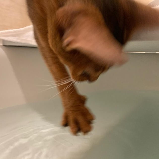 楽しいお風呂タイム♪
