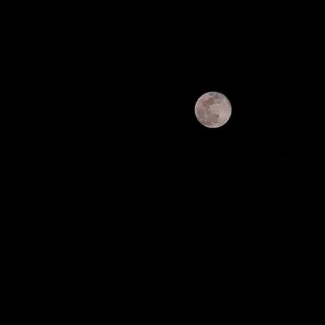 今日は今年最後の満月でした#最近撮った写真は