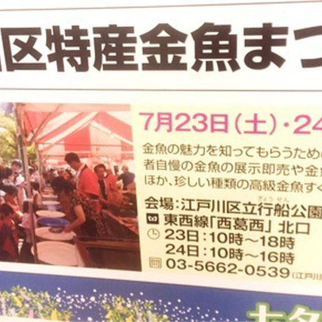 祭り　江戸化区　特産金魚まつり