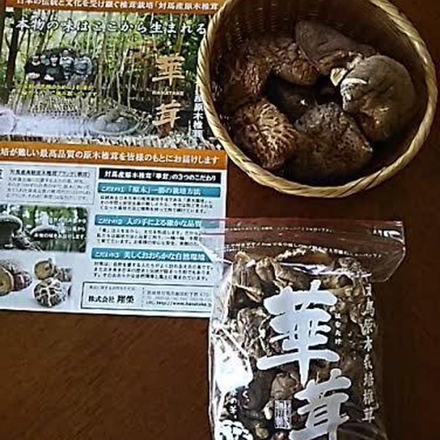 対馬産原木椎茸「華茸」