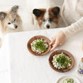 高野豆腐＆お刺身用の鯛でつくる犬用ばら寿司（手作り犬ごはん）