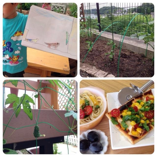 家庭菜園と、採れたて野菜のランチ。