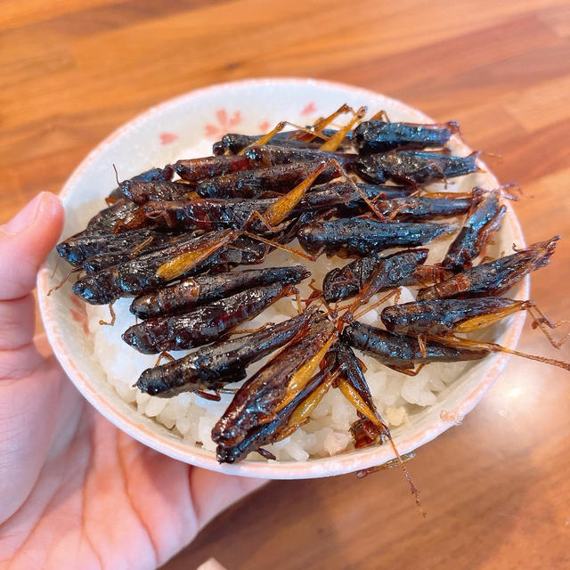 お昼ご飯はいなごごはんです！！