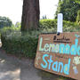 レモネードいかがですか　Lemonade Stand