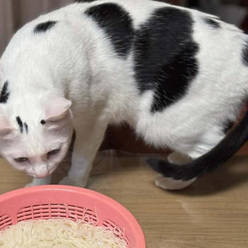 急に夏(;'∀')と5月19-20日の副収入