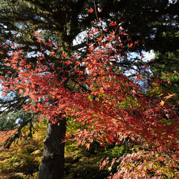 秋の遠足　～御嶽山 播州清水寺～