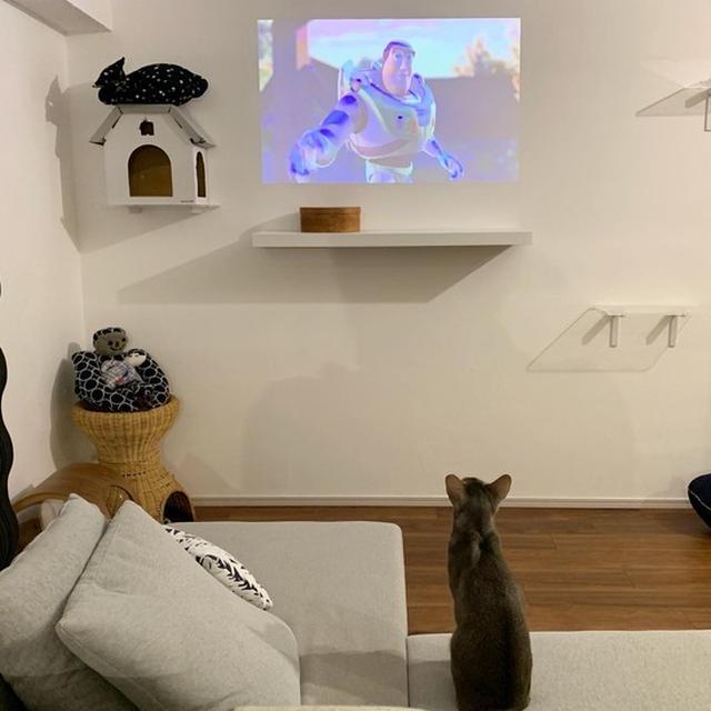 トイストーリー2を夢中でみるぼくちんとひめちゃん