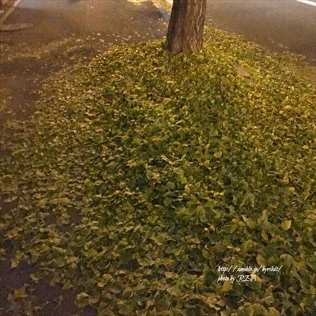 好きなもの
