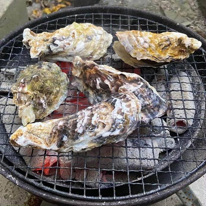 網の上で炭火焼きされている殻付き牡蠣