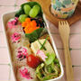 ママ弁「ふりかけおにぎりのお弁当」