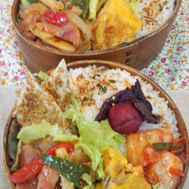 マカロニのパプリカソテー弁当～♪