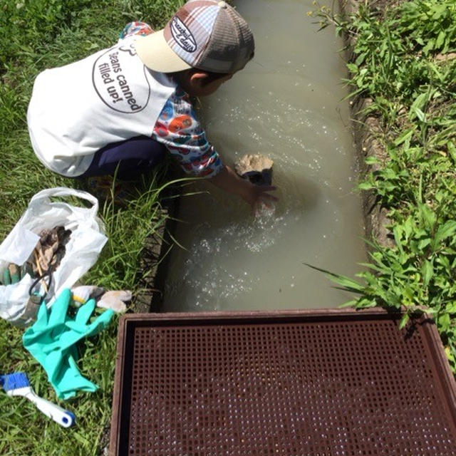 運動会＊田植え