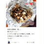 クックパッド「うんま！黒舞茸「真」のホイル包み焼き」のつくれぽが公開されました、31杏仁豆腐。