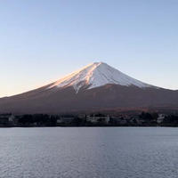 富士山の恵みを再生！アップサイクルフードプロジェクト始動