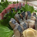 釣りのサバでシメサバ♪