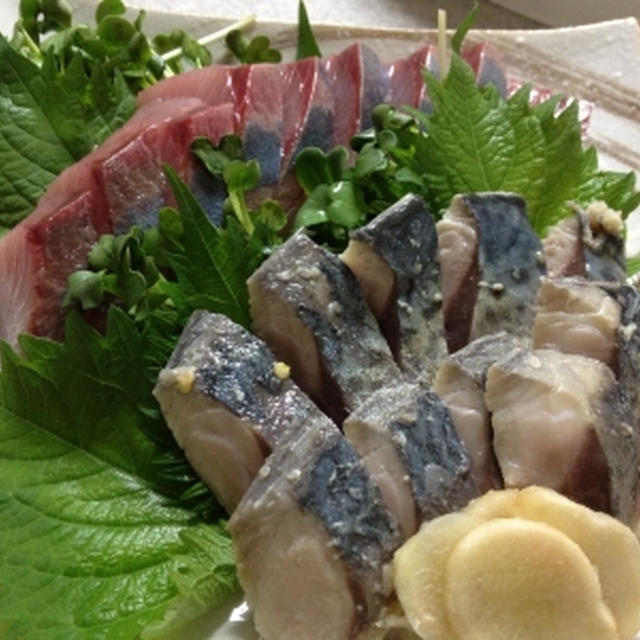 釣りのサバでシメサバ♪