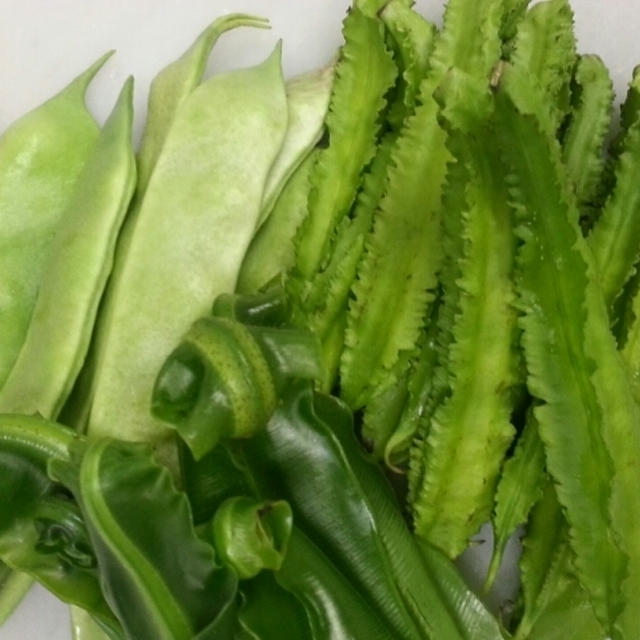 琉球・宮古島野菜のバーニャフレッダ☆