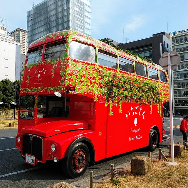 速報「いちごさんバス」当日券情報！佐賀県の新ブランド苺「いちごさん」