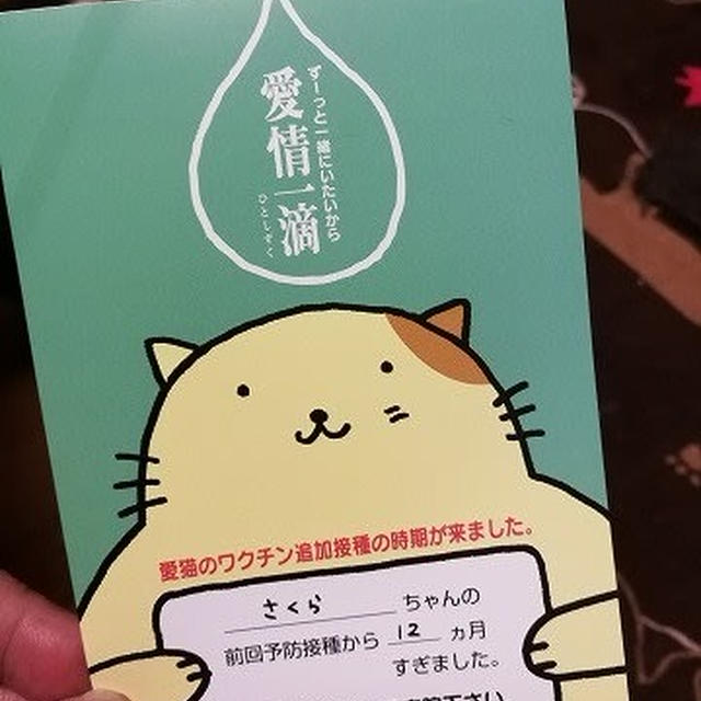 【小梅・さくら・桃之介通信】さくらの召喚状 / GWの動物病院