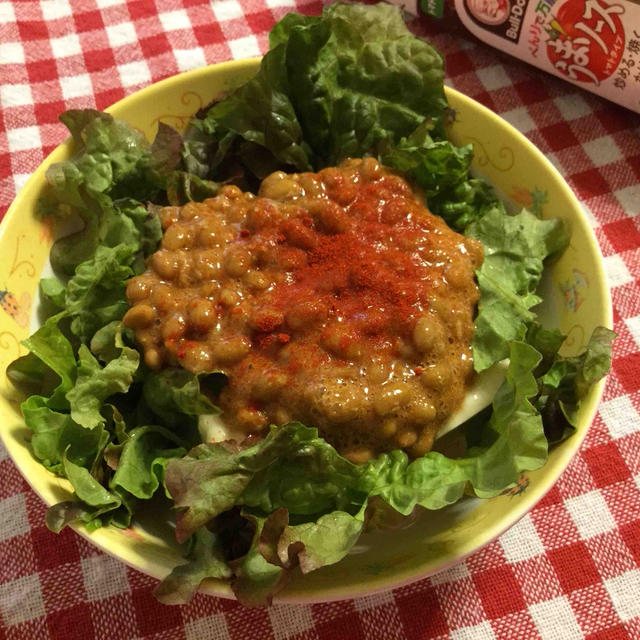 うまソース納豆かけ冷奴 
