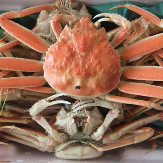 「カニグラタン」と「カニごはん」♪