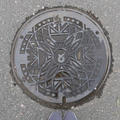 砺波市でマンホールウォッチング♪#最近撮った写真は