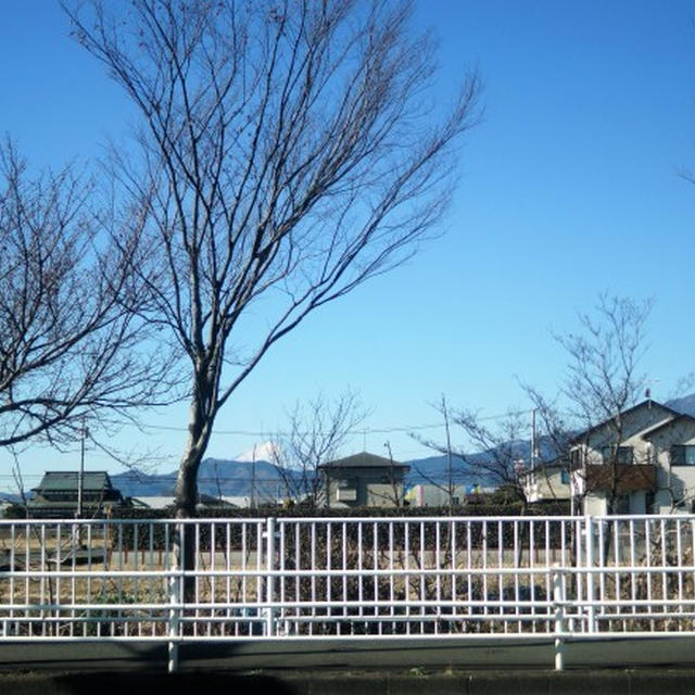 ■【お正月の風景　車窓からと地元の龍福寺】