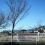 ■【お正月の風景　車窓からと地元の龍福寺】