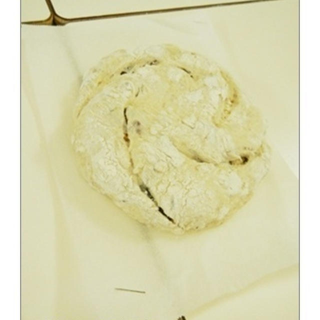 カンパーニュって何？保湿するスパイラルクープ