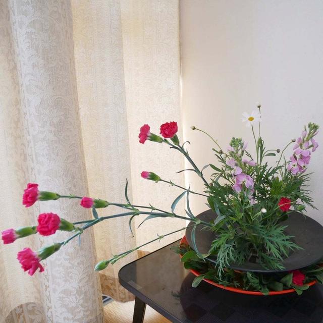生け花のお稽古とリビングに飾った花#最近撮った写真は