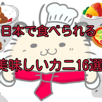 【カニがわかる】日本で食べられる美味しいカニ16選！特徴や美味しい食べ方も徹底解説