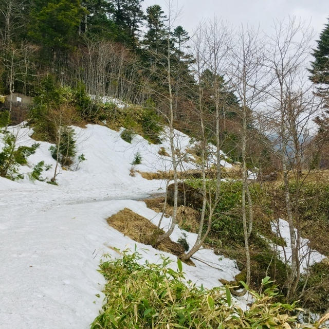 峠のCAFE ADAMO 大河原峠まで未だ積雪の為通行出来ず。