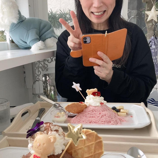 糸ピンス再び