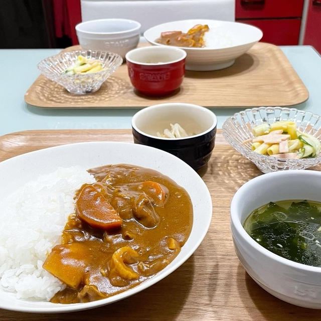 【献立】4人家族の晩ごはん/カレーライスなど…。