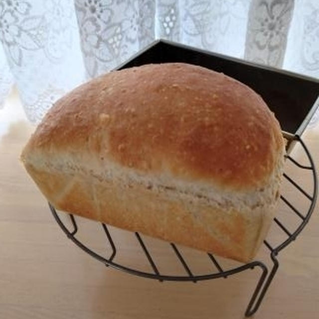 自家製醤油麹の白ごまミニ食パン🎵
