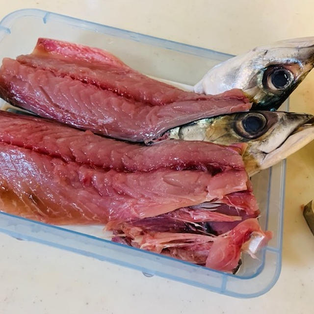 鯖の三枚おろし