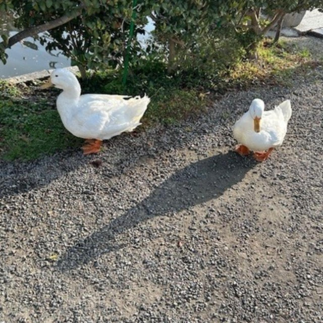 最初にしたアルバイト