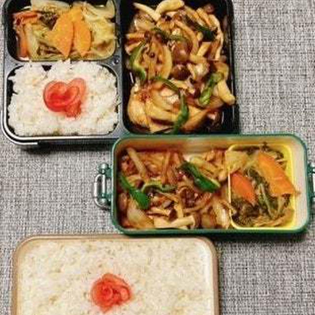 豚の生姜焼き弁当・卒論完成・りんご