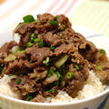 ガリねぎ肉丼～スパイス大使