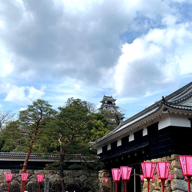 高知城と桜