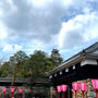 高知城と桜