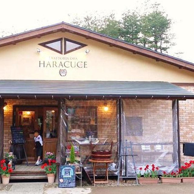 新潟県新発田市「TRATTORIA  ORA HARACUCE（トラットリア　オラ　ハラクチェ）」のイタリア料理♪おいしかったよ